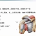 7.肩关节撞击综合征影像学评估-骨肌影像诊断思维系列1