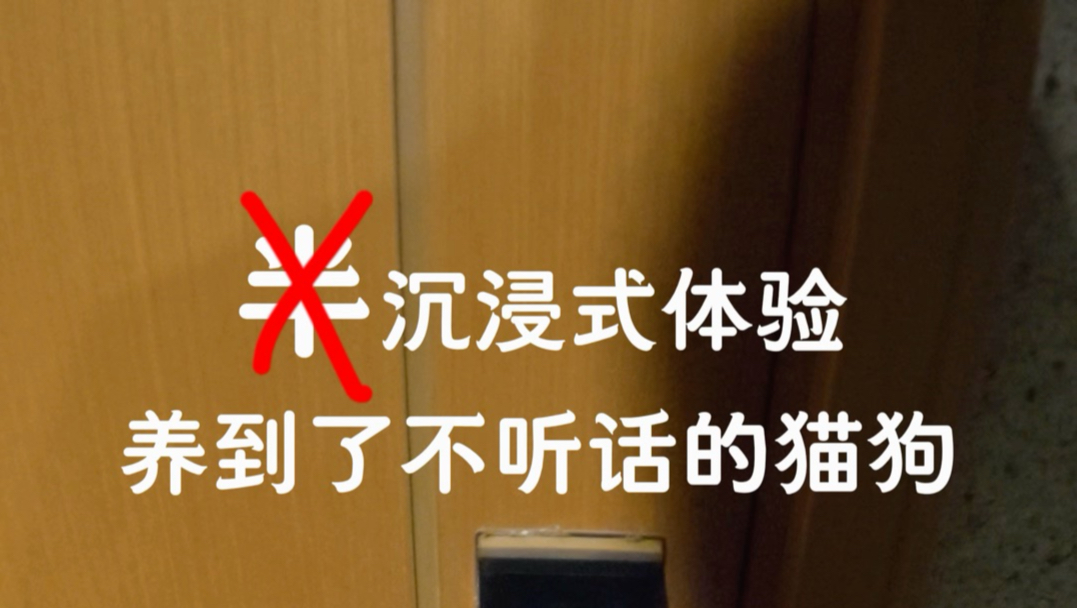 想模仿魔丸镜头下的猫狗，结果根本不听话！生气！！！