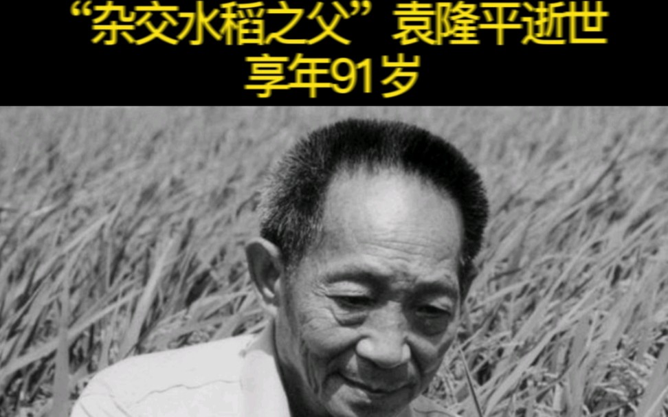 “杂交水稻之父”袁隆平逝世享年91岁