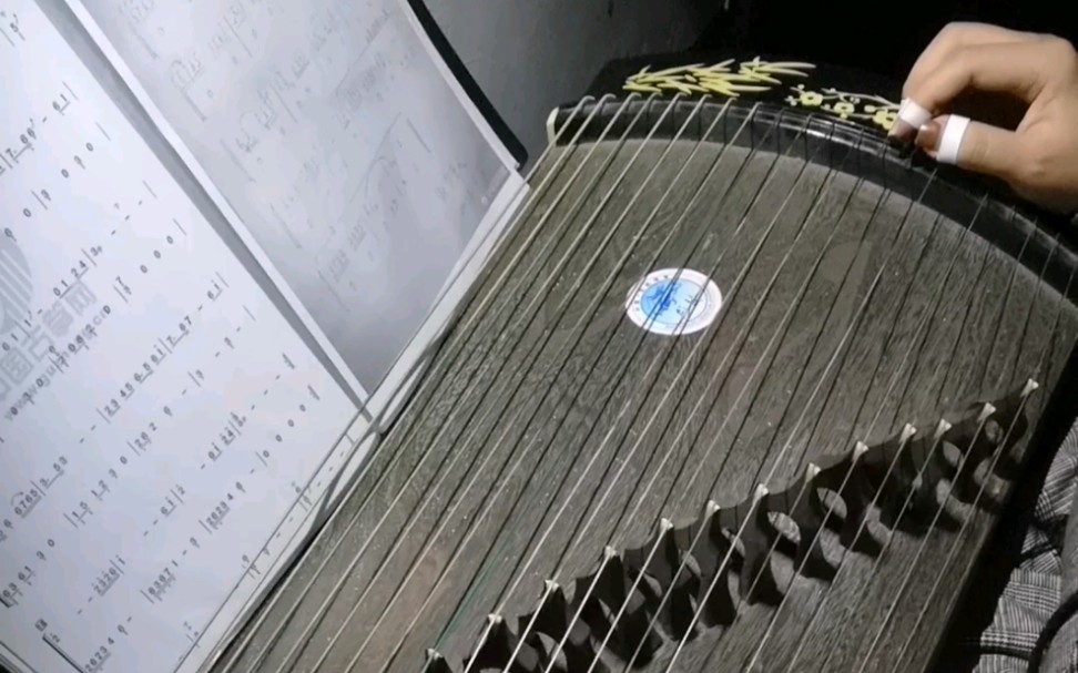古筝双面燕洵丽人行