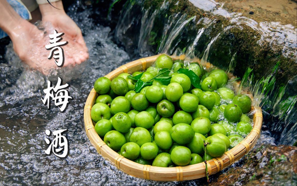 青梅酒｜今年泡酒，来年享受！