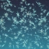 s785 唯美浪漫蓝色3D雪花粒子飘落婚礼晚会圣诞节元旦视频背景素材