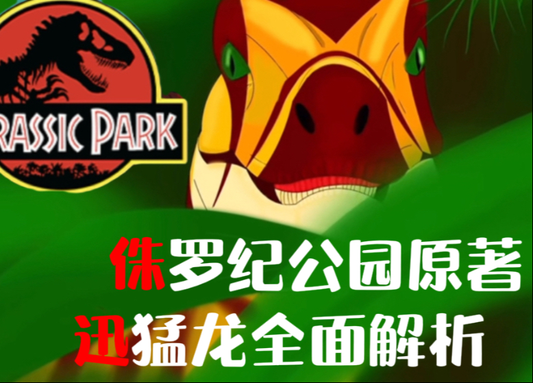 【TF工作室出品】原著迅猛龙全面解析