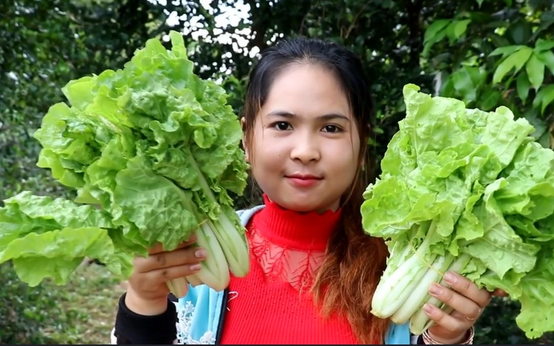 【柬埔寨乡村美食】美妞来煮青菜猪肉汤,看起来还是可以的