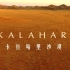 【纪录片】卡拉哈里沙漠【1080p】【双语特效字幕】【纪录片之家爱自然】