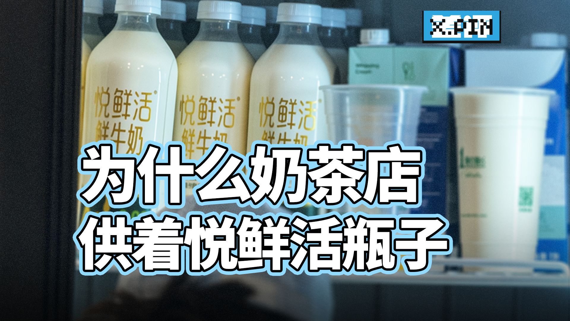 为什么奶茶店，都要把悦鲜活的空瓶子当菩萨供着？ #奶茶 #牛奶 #鲜牛奶 #悦鲜活