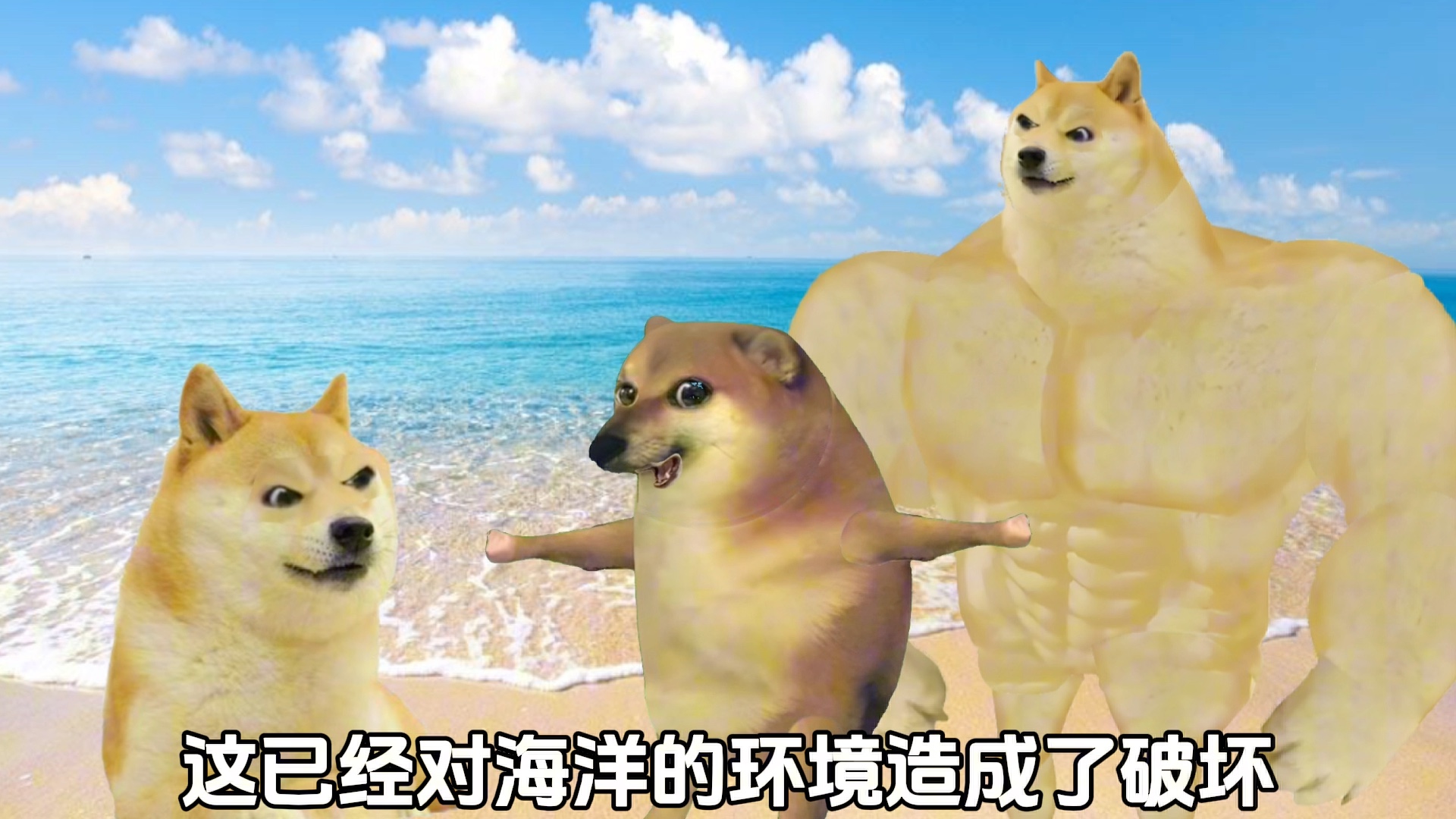 Cheems Cheems cheems-cheems