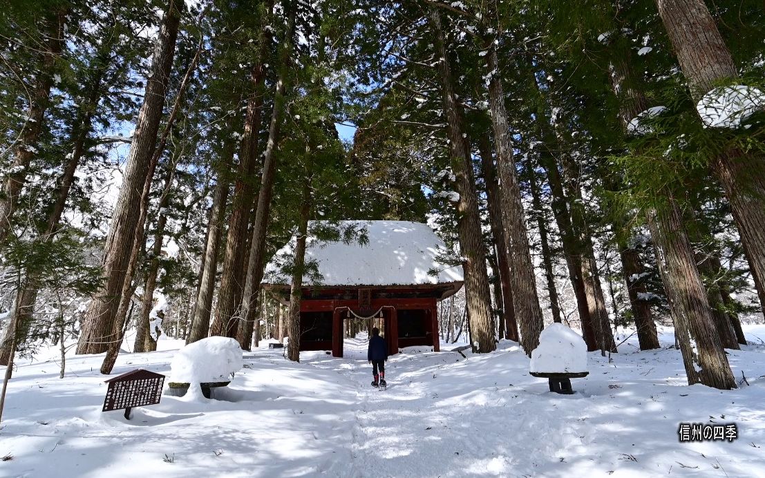 【超清日本】第一视角 雪原的户隐 可以听到春天的脚步声 (2022.2拍摄,4K超清版) 2022.3