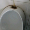 长沙市某中学的冲水洗手一体化高端小便池