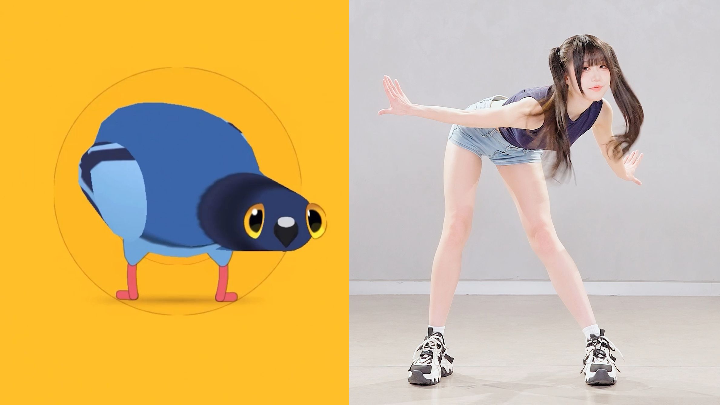 你们拍鸽子舞的人嘴真严啊...