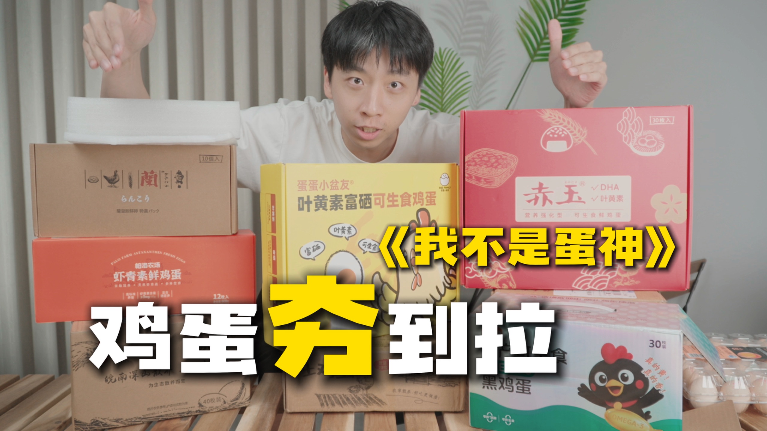 不同价位的鸡蛋吃起来都有什么区别？帅小伙来试试！