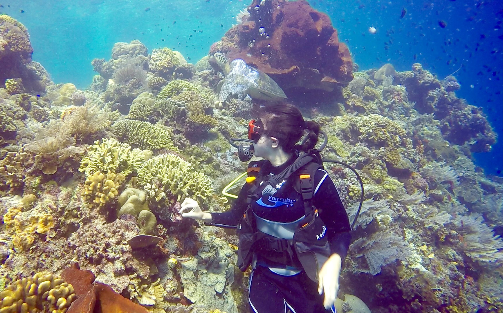 GoPro处女作:印尼美娜多潜水之旅(:)-)视频在线