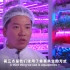 黑科技！揭秘中国香港高科技垂直农场 内部色彩绚烂宛如科幻片场景