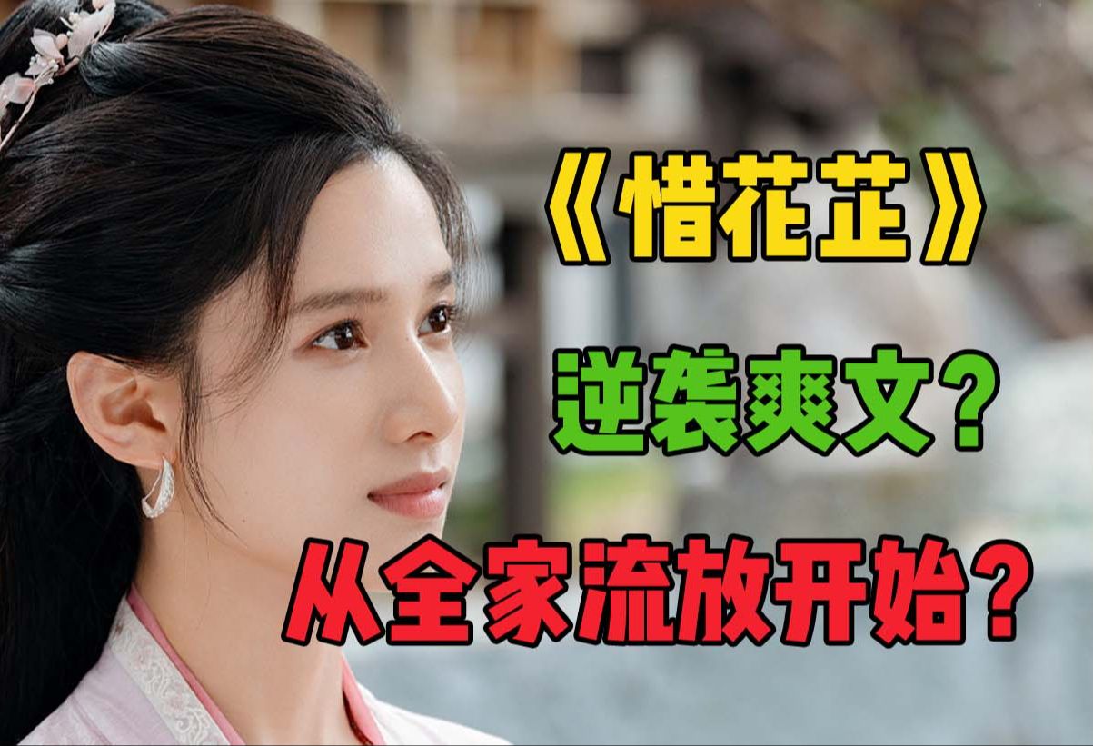 《惜花芷》:流放、退婚、经商、翻盘?第一次见演这么惨的女频爽文!哔哩哔哩bilibili