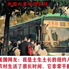 真实的中国农村让国外网友感动，美国网友很想去看看#农村