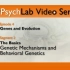 【心理学】《MyPsychLab》E04S02：遗传机制与行为遗传学【中英字幕】