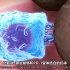 【微观系列】看免疫系统是如何攻击肿瘤/癌症细胞的