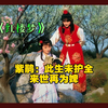 紫鹃：这一世我没护够下辈子还要当她丫鬟