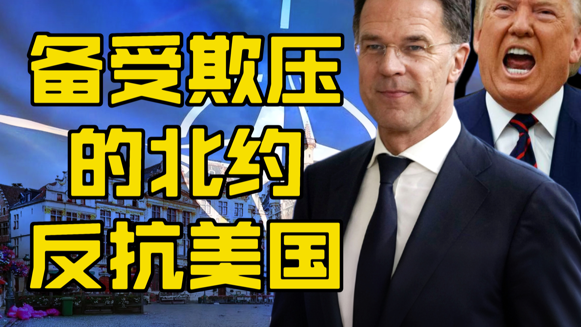 北约对美国的反抗