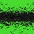 蝙蝠特效绿幕素材分享