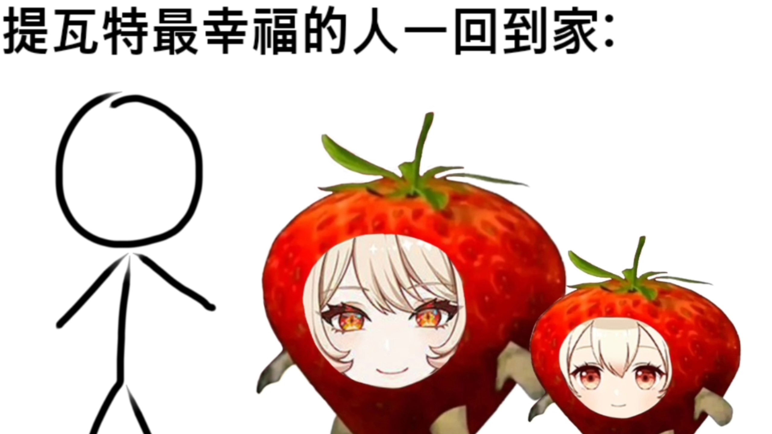 提瓦特双魔丸
