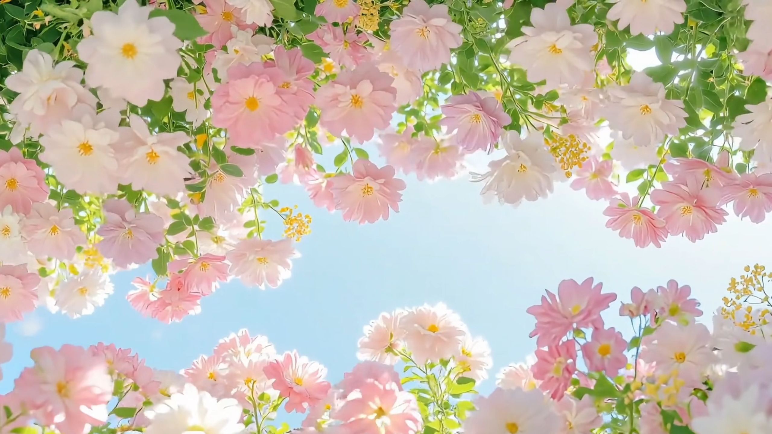 “你未必光芒万丈 但始终温柔有光”