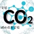 ［化学］二氧化碳的性质实验。