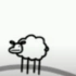 BB i am sheep