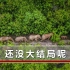 云南野象旅行团回家了，网友恋恋不舍，大象：我们以后还来