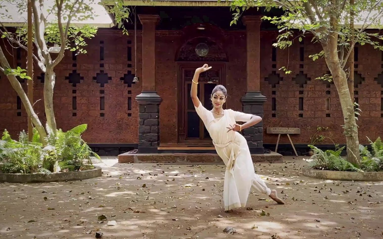 【印度古典舞】6种舞姿无缝衔接！领略南亚古典舞蹈之美（附中文解说）
