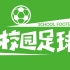 （自制采访短片）校园足球——中国足球发展的缩影