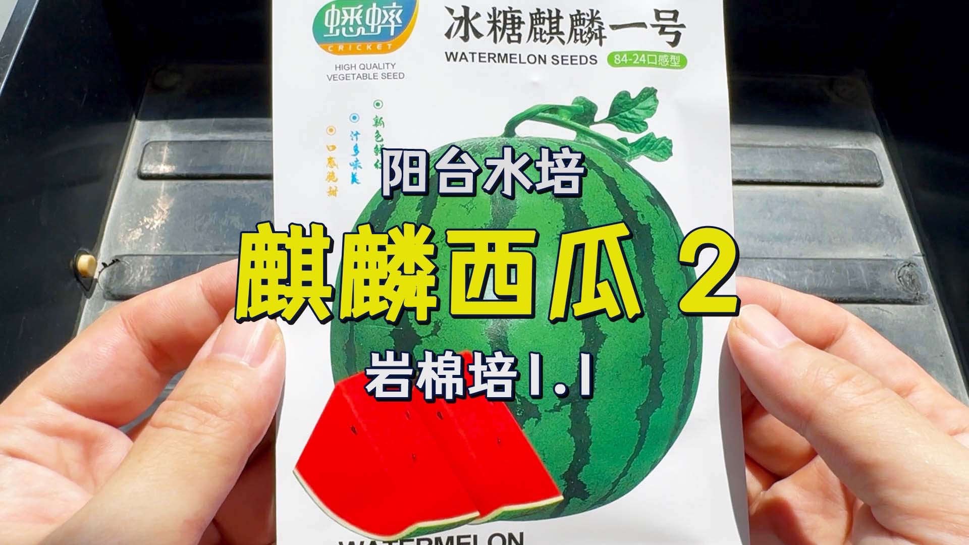 你瞧瞧现在哪有瓜啊