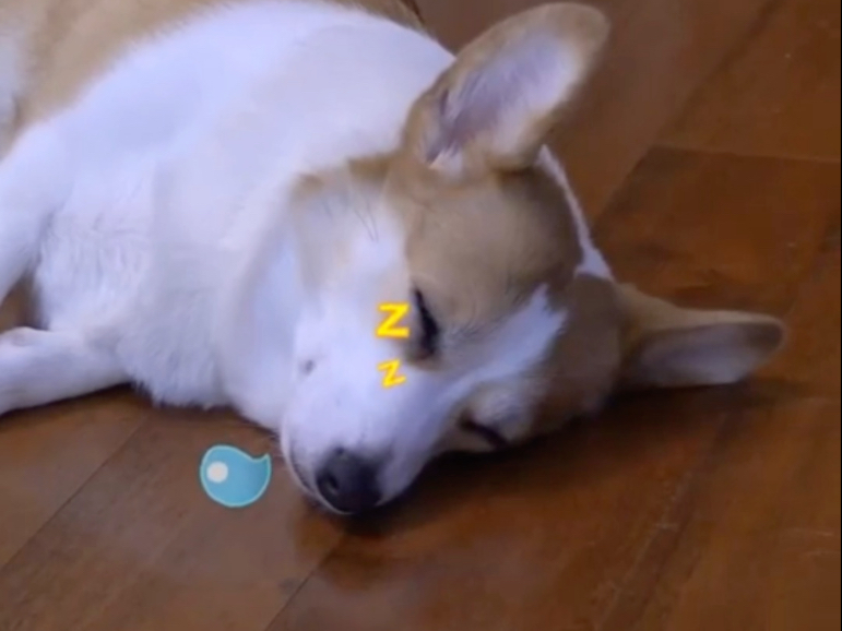 【于朦胧2020.03.18记】每一个片段都感慨你是那么的热爱生活，这样的结局怎么配得上你