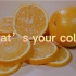 What’s your color  创意短片
