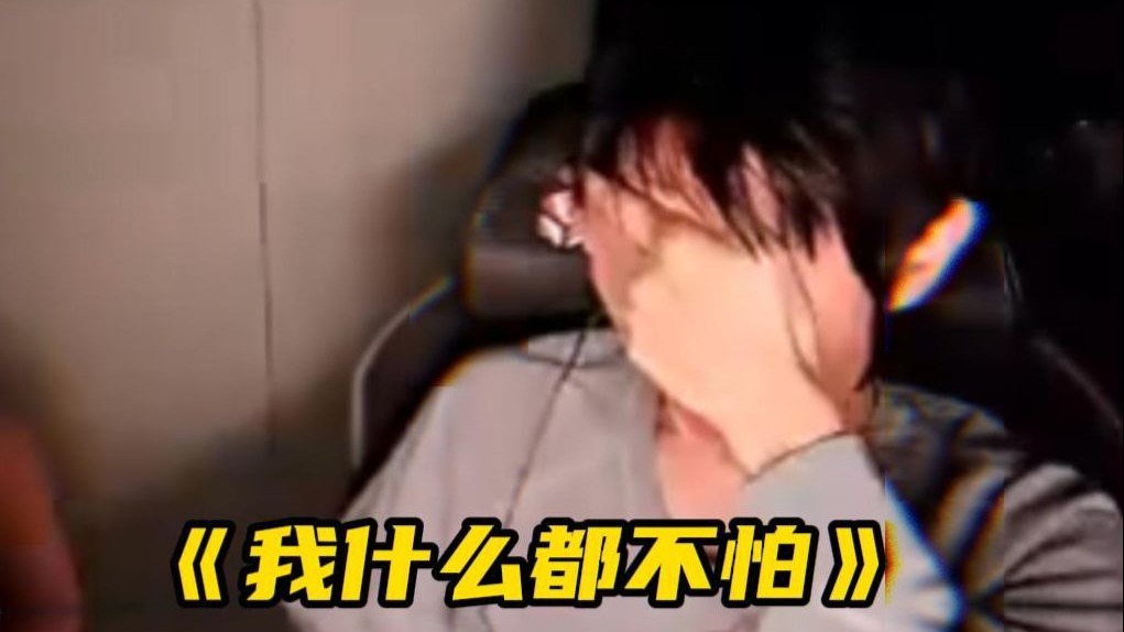 我什么都不怕