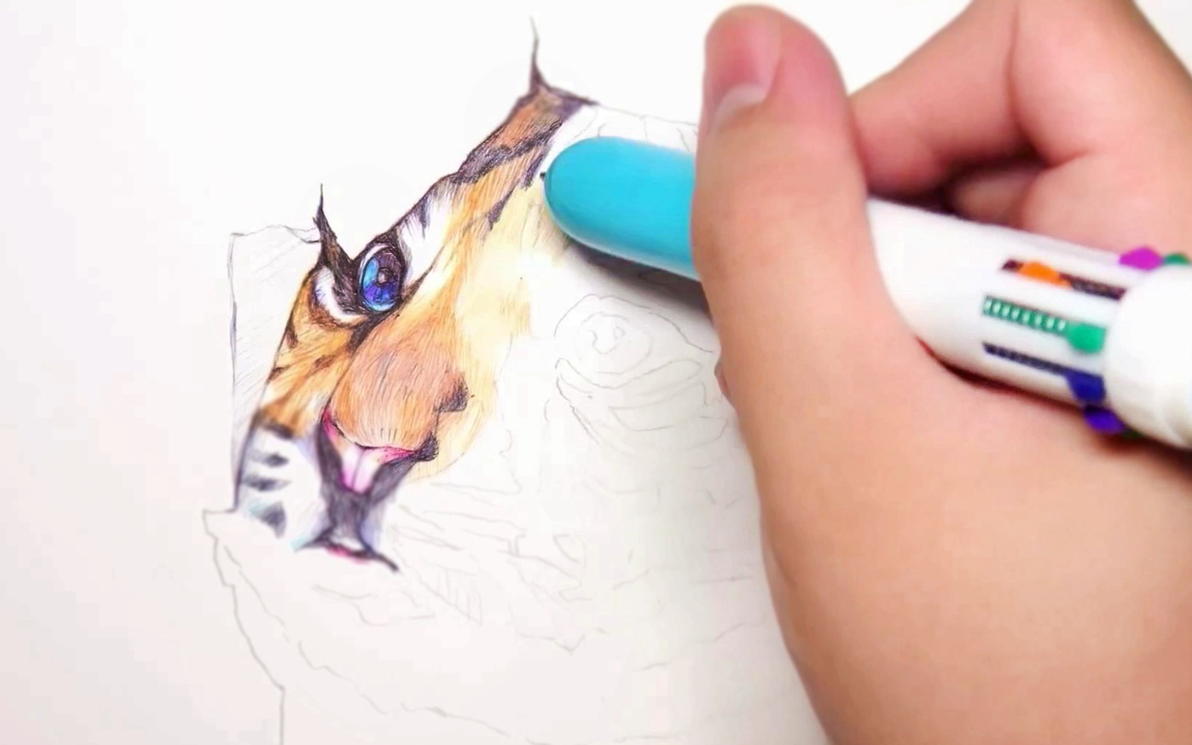 【抠门指南】6块钱买的彩色圆珠笔，画到最后也太离谱了！