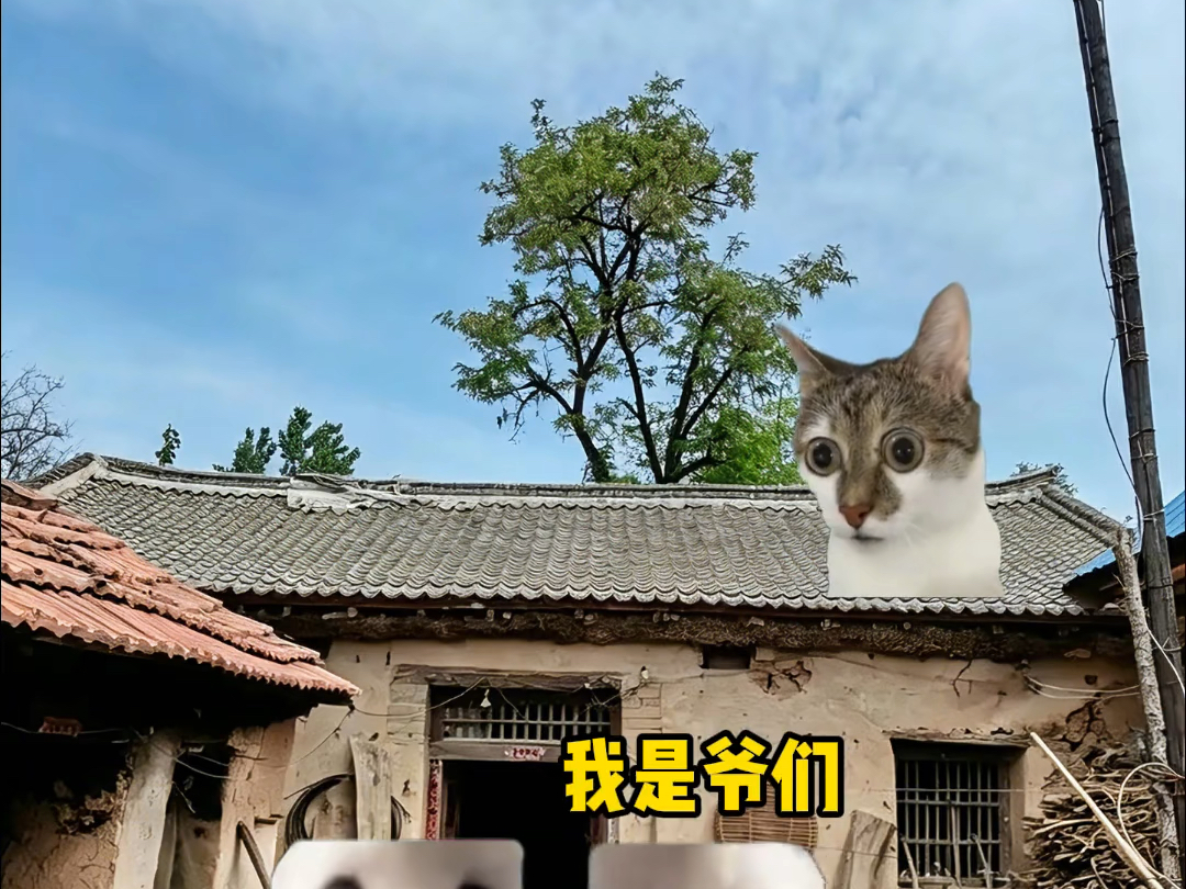 我是爷们！！