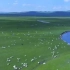 与你相遇呼伦贝尔大草原，世界最好的草原生态系统