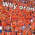 为什么荷兰人喜欢橙色？