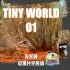 【纪录片学英语】Tiny World-01【无字幕】-零基础无痛学英语不求人