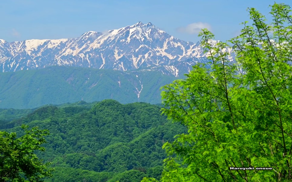 【超清日本】第一视角 新绿闪耀的五月晴朗的里山 (4K超清版) 2022.5