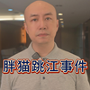 胖猫跳江事件