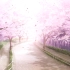 夢と葉桜……