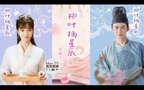 唐晓天庄达菲柳叶摘星辰夫人竟是江洋大盗与巡察使夫君上演猫抓老鼠