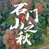 【航拍】广州从化石门山森林公园，赏秋圣地，森林覆盖率98.9%，这里的枫叶好美！