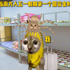 “当南方人五一假期第一个回宿舍时