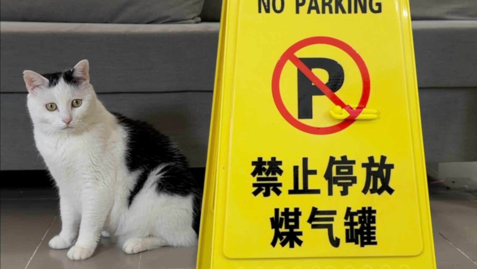 你能找到画面里的小人吗？
