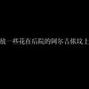 献给阿尔吉侬的花束 | “然后我们就飞走，只有你跟我，一对人造天才携手逃亡