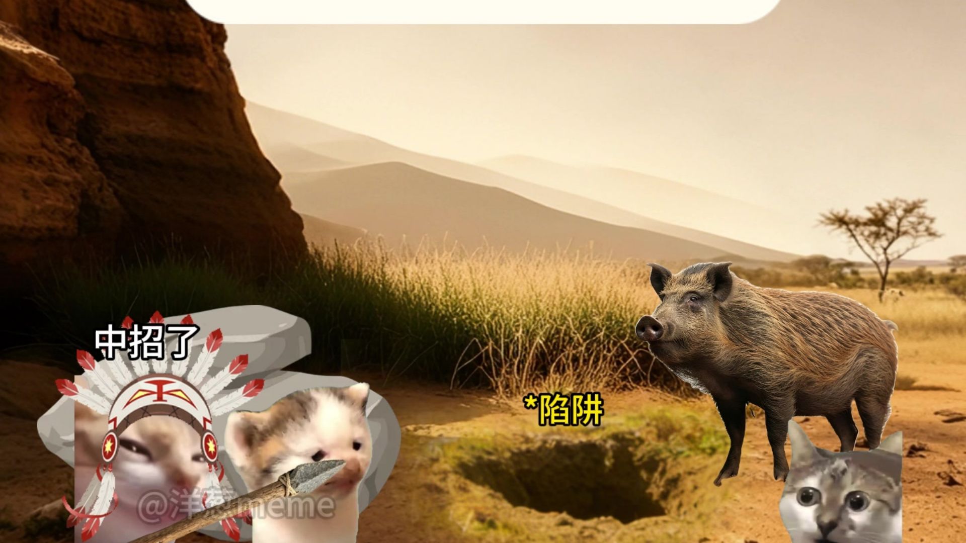 【猫meme】当人类第一次圈养动物2