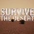 [1080P][60FPS]绝地求生最新沙漠宣传片 - 最高画质版本